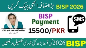 How to Check BISP Status 2026 – SMS and Online&hellip;